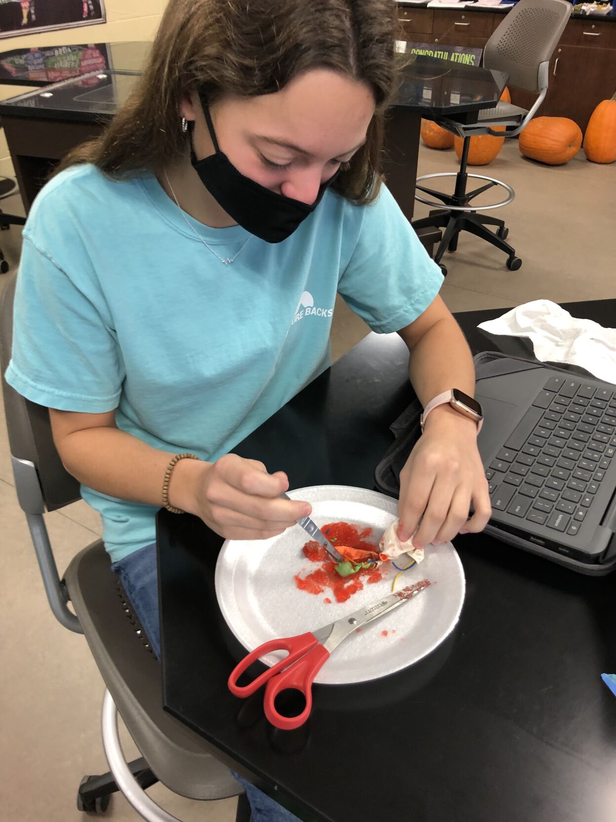 Agriculture education, FFA creates knowledgeable consumers, leaders